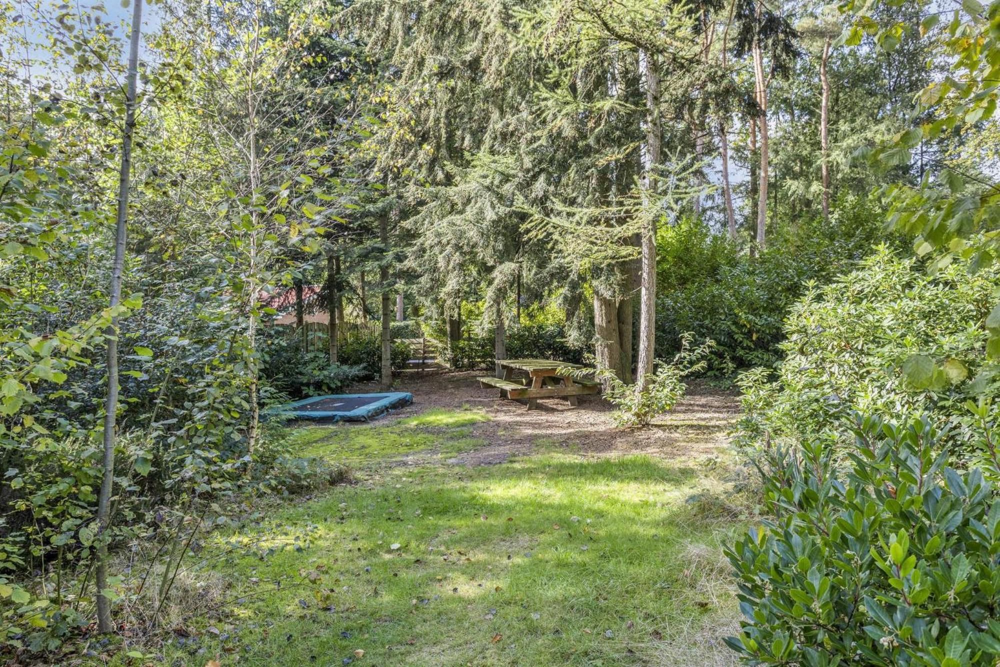 Relaxen In Het Bos Met Privesauna ホルテン エクステリア 写真
