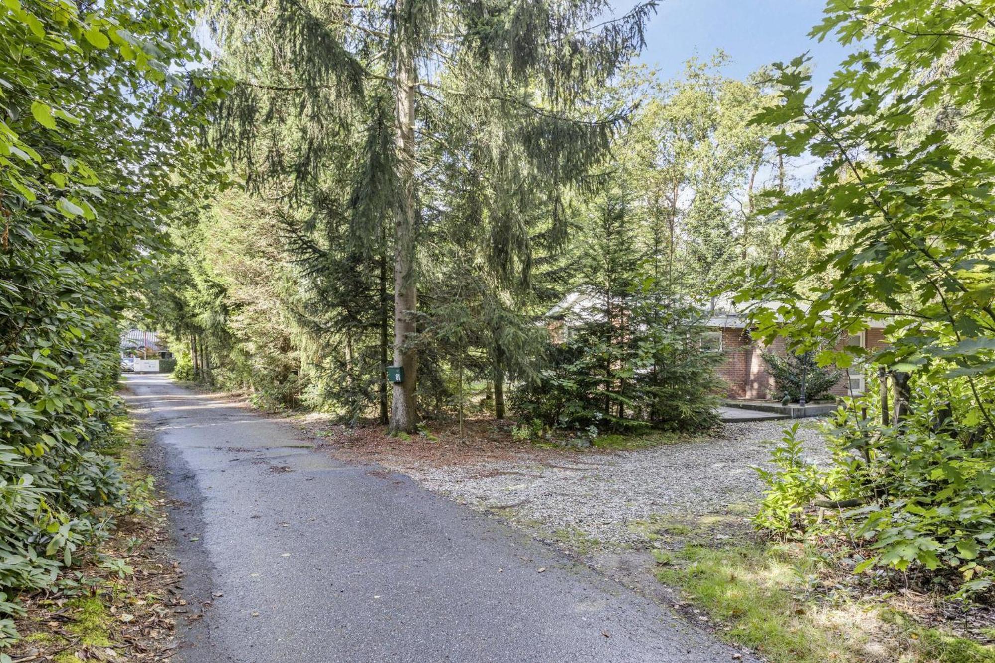 Relaxen In Het Bos Met Privesauna ホルテン エクステリア 写真
